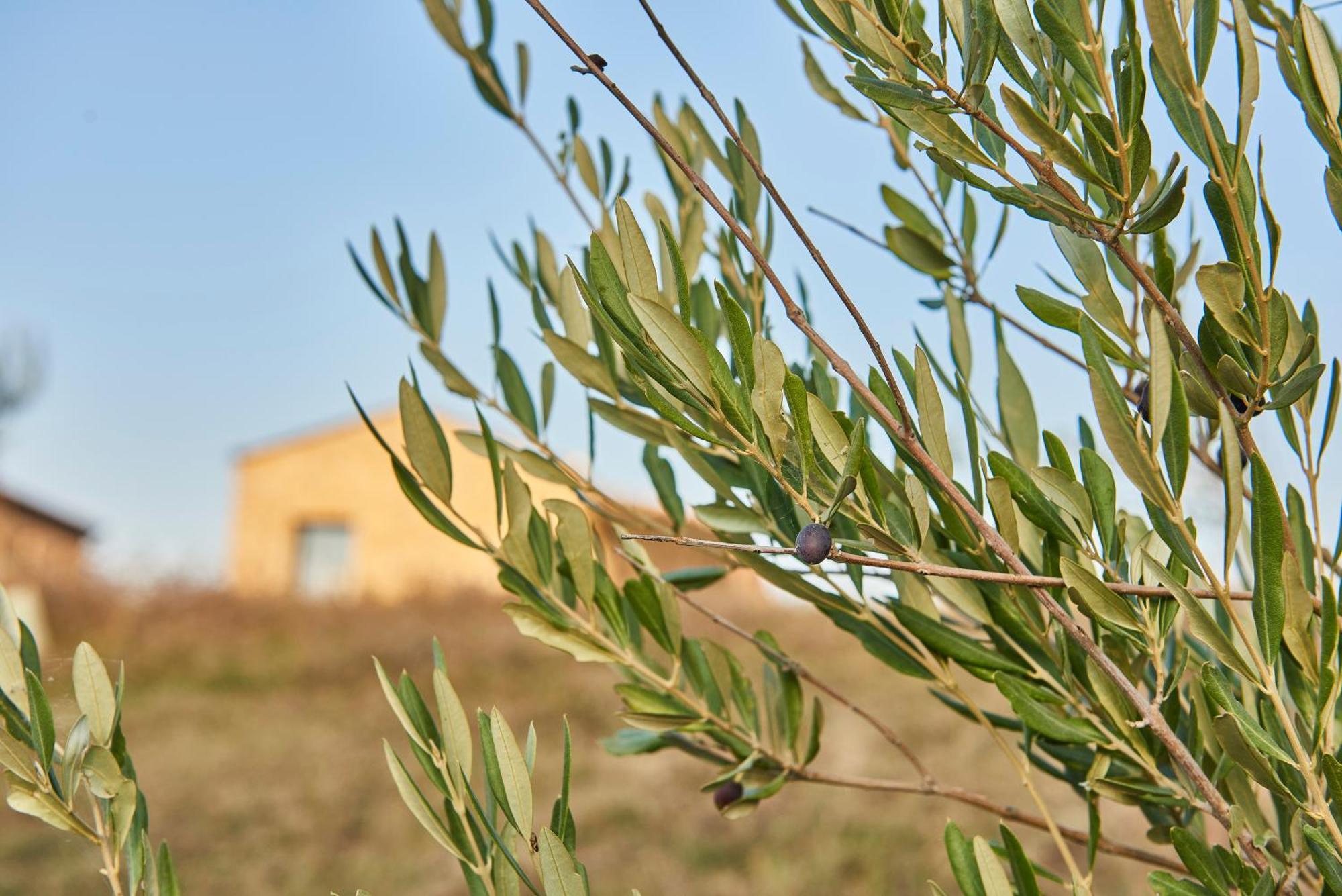 Agriturismo Prato Del Re Prignano sulla Secchia 外观 照片