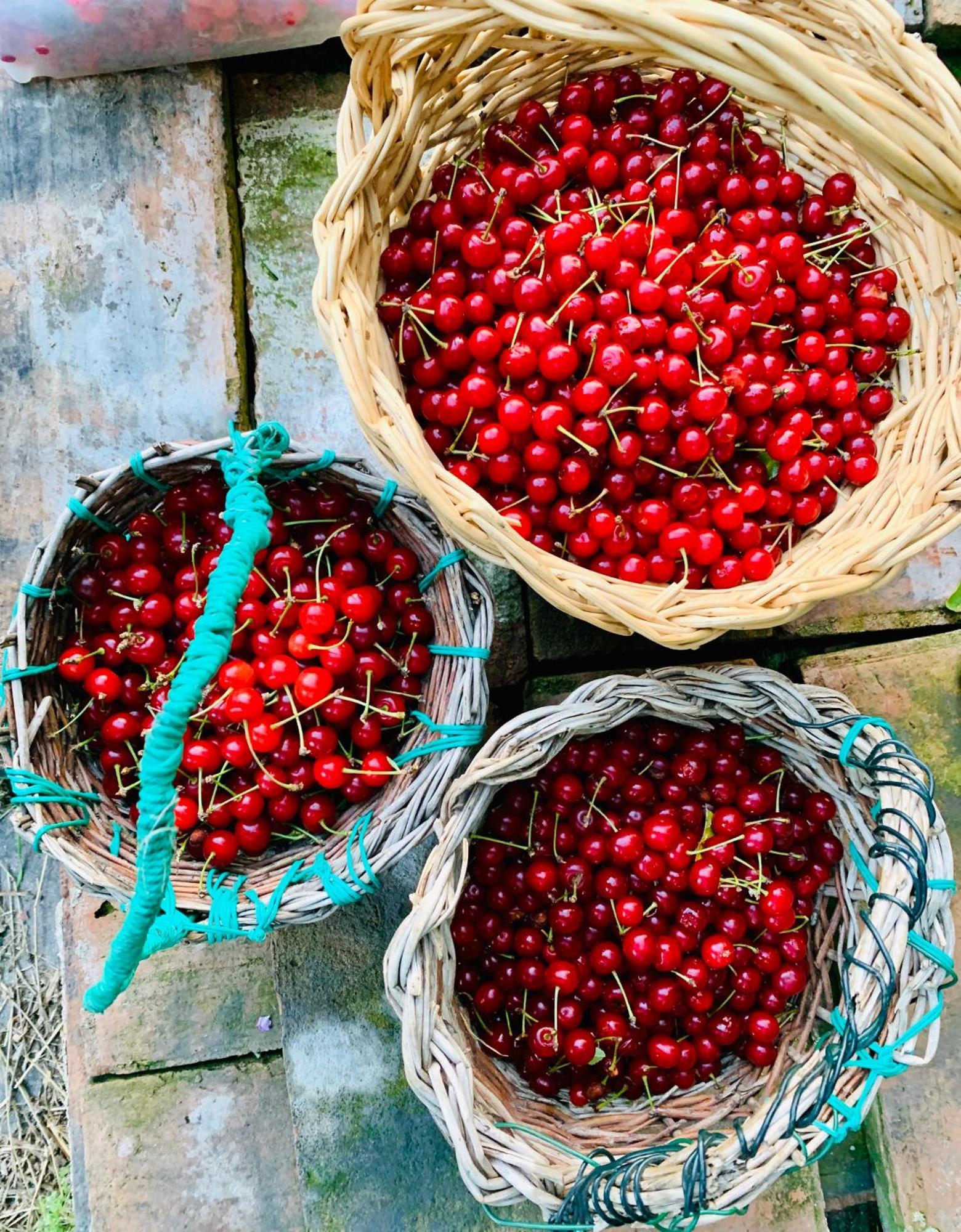 Agriturismo Prato Del Re Prignano sulla Secchia 外观 照片