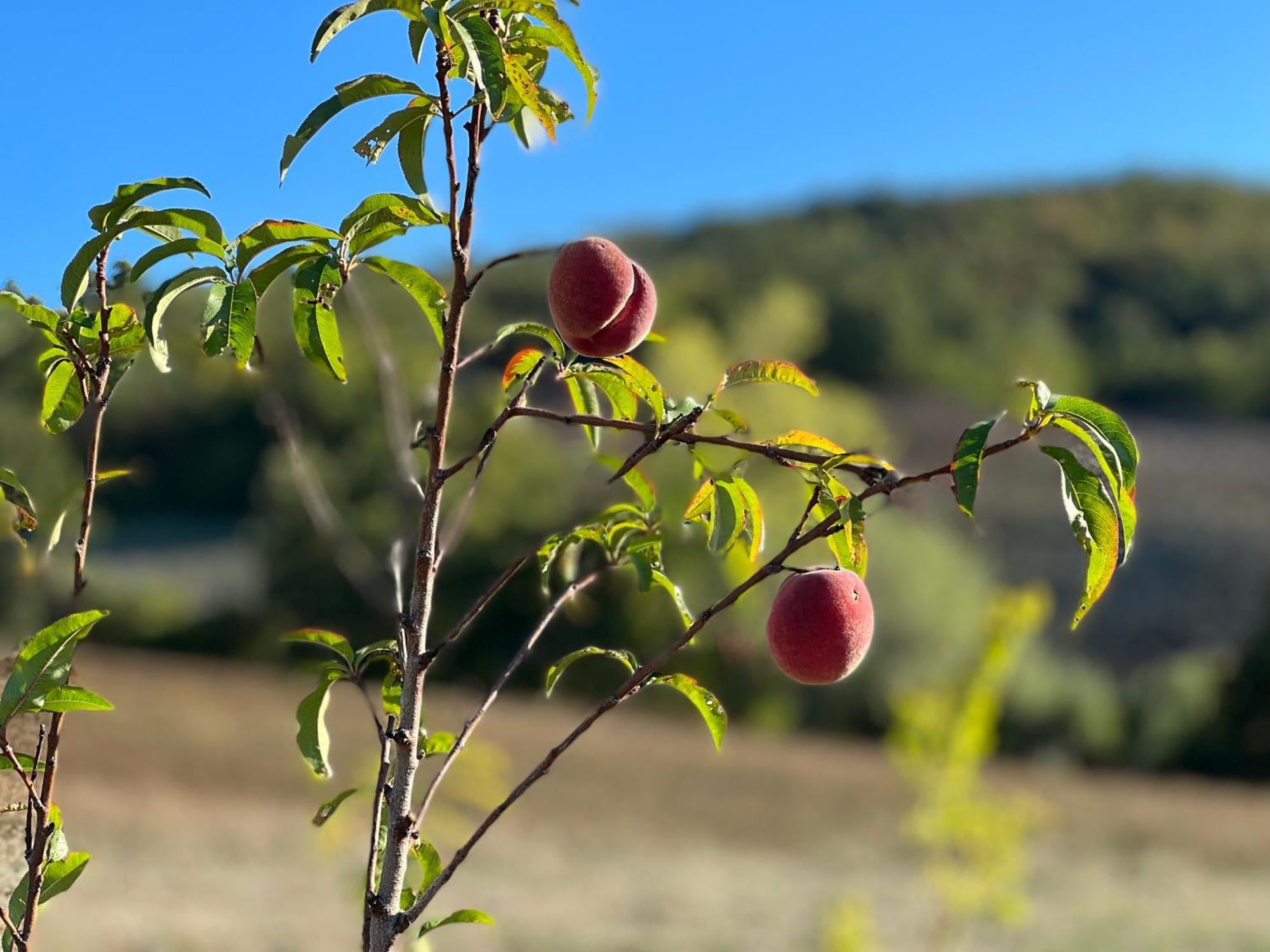 Agriturismo Prato Del Re Prignano sulla Secchia 外观 照片