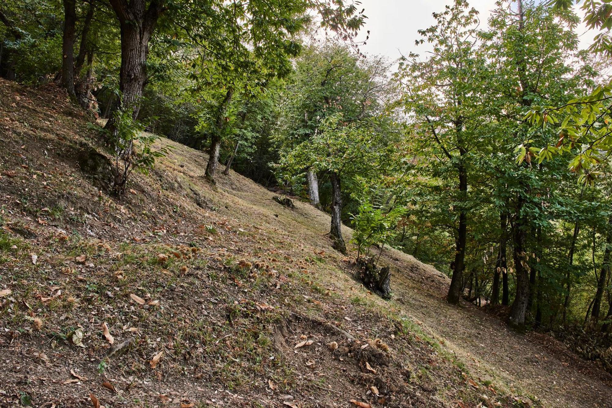 Agriturismo Prato Del Re Prignano sulla Secchia 外观 照片